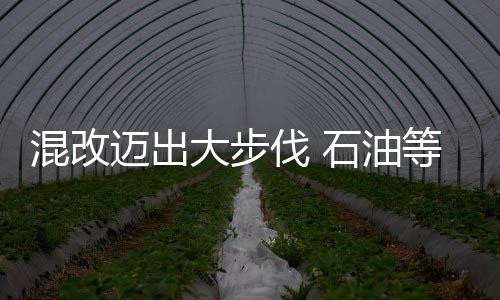 混改邁出大步伐 石油等領(lǐng)域?qū)⒓铀偻七M(jìn)