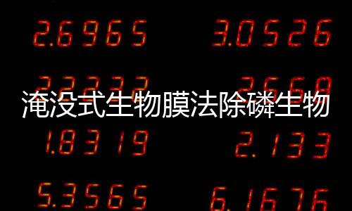 淹沒式生物膜法除磷生物膜特性研究