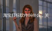 淘寶打標軟件叫什么，關于淘寶打標黑科技軟件詳細情況
