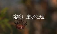 淀粉廠廢水處理