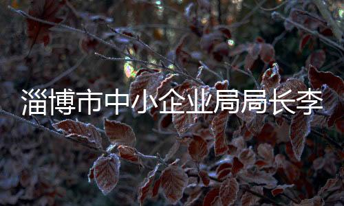 淄博市中小企業局局長李明濤一行調研博山區陶琉企業,行業資訊