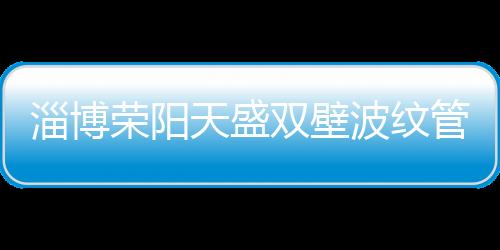 淄博榮陽天盛雙壁波紋管廠家批發