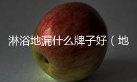 淋浴地漏什么牌子好（地漏什么牌子好）
