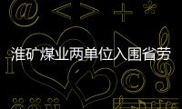 淮礦煤業(yè)兩單位入圍省勞動(dòng)保障誠(chéng)信示范單位