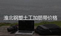 淮北鋼塑土工加筋帶價格