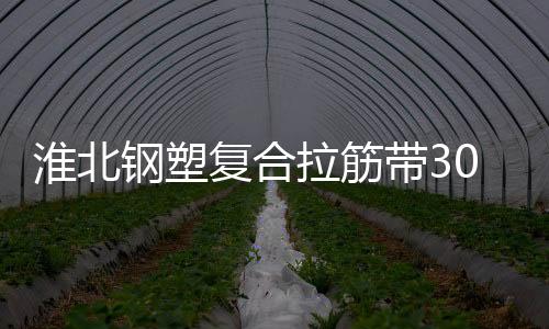 淮北鋼塑復合拉筋帶30020C規格齊全