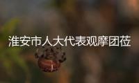 淮安市人大代表觀摩團蒞臨淮海型材參觀指導