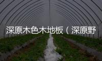 深原木色木地板（深原野）