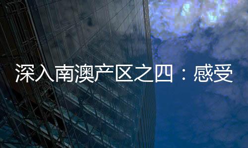 深入南澳產(chǎn)區(qū)之四：感受奔富