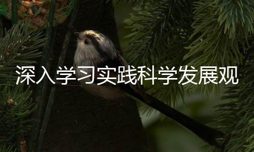 深入學習實踐科學發(fā)展觀  切實促進我校離退休工作再上新臺階
