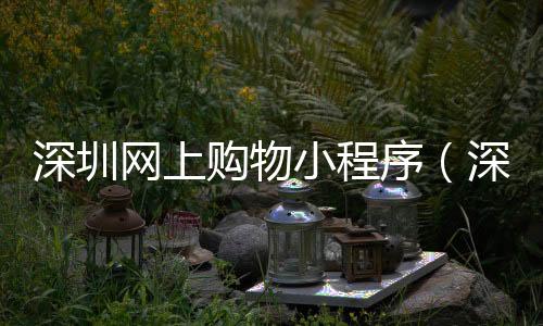深圳網上購物小程序（深圳網上購物）