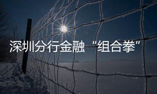 深圳分行金融“組合拳”助力“暖消費”