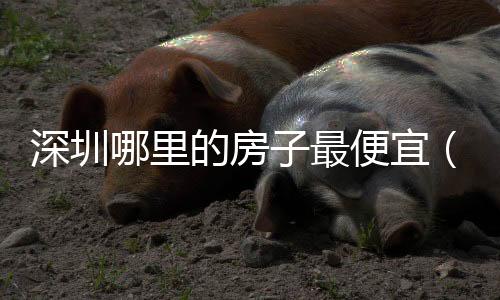 深圳哪里的房子最便宜（深圳哪里房子便宜）