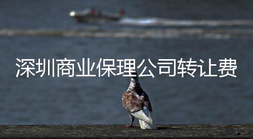 深圳商業(yè)保理公司轉(zhuǎn)讓費用？