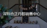 深圳合正丹郡銷售中心 / 臺灣大易國際設計（組圖）