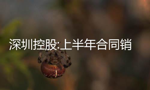 深圳控股:上半年合同銷售額約49.63億元 同期下降31%