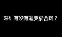 深圳有沒有暹羅貓舍啊？深圳 暹羅