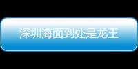 深圳海面到處是龍王