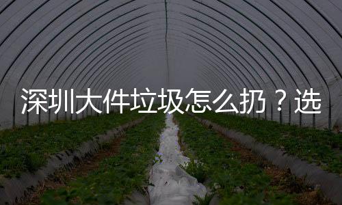 深圳大件垃圾怎么扔？選擇正確方式不“翻車”