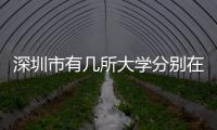 深圳市有幾所大學(xué)分別在哪個區(qū)（深圳市有幾所大學(xué)）