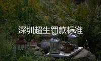 深圳超生罰款標準
