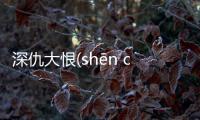深仇大恨(shēn chóu dà hèn)消息可靠嗎?