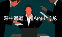 深中通道，超A的！【龍騰灣區(qū)·橋見未來】