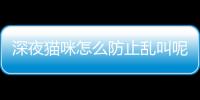 深夜貓咪怎么防止亂叫呢？深夜貓咪怎么防止亂叫聲