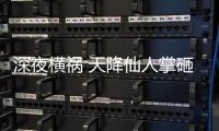 深夜橫禍 天降仙人掌砸中男孩