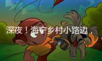 深夜！海寧鄉村小路邊，兩男子竟然瘋狂做這事…