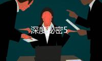深度秘密5