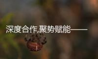 深度合作,聚勢賦能——TOP品牌泛家居聯盟正式成立