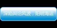 深陷輿論風波，陽明海運發布澄清聲明！
