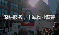 深耕服務，豐誠物業獲評“2017中國物業服務專業化運營領先品牌企業”