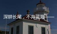 深耕長(zhǎng)尾，不棄藍(lán)海——民營(yíng)醫(yī)院需要一份戰(zhàn)略規(guī)劃指導(dǎo)運(yùn)營(yíng)提升