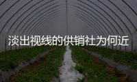 淡出視線的供銷社為何近期“爆紅” 背后到底有何深意？？