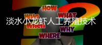 淡水小龍蝦人工養殖技術方法，淡水小龍蝦人工養殖技術