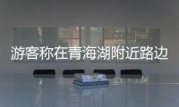 游客稱在青海湖附近路邊停車買水遭驅趕，當地回應