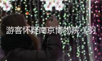游客懷疑南京博物院《羽人戲龍磚畫》裝反了，院方回應