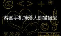 游客手機掉落大熊貓撿起來就啃，管理員用蘋果引到一邊