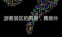 游客景區(qū)拍風(fēng)景，竟意外拍到這一幕！