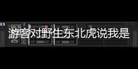 游客對野生東北虎說我是本地的 奇遇走紅網絡