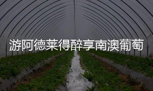 游阿德萊得醉享南澳葡萄酒
