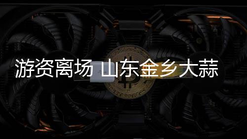 游資離場 山東金鄉大蒜價格暴跌至0.8元/斤