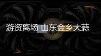 游資離場 山東金鄉大蒜價格暴跌至0.8元/斤