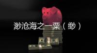 渺滄海之一粟（緲）