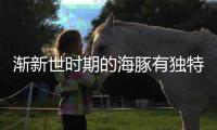 漸新世時期的海豚有獨特的進食方式