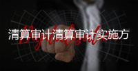 清算審計清算審計實施方案(匯總8篇)