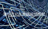 清華芯片在類腦視覺(jué)感知芯片領(lǐng)域取得重要突破