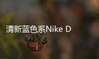 清新藍(lán)色系Nike Dunk Low簡(jiǎn)約風(fēng)滿滿